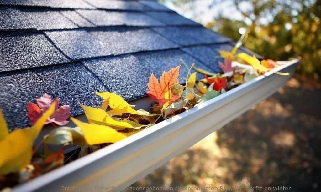 Seizoensgebonden rioolproblemen Rijswijk: herfst en winter